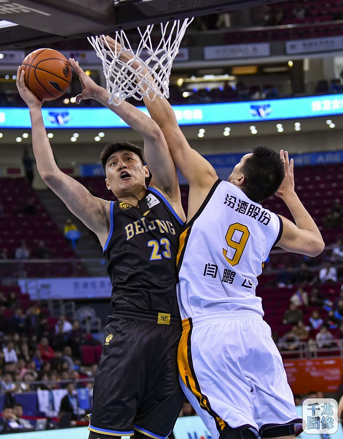 极的高位逼 极的高位逼