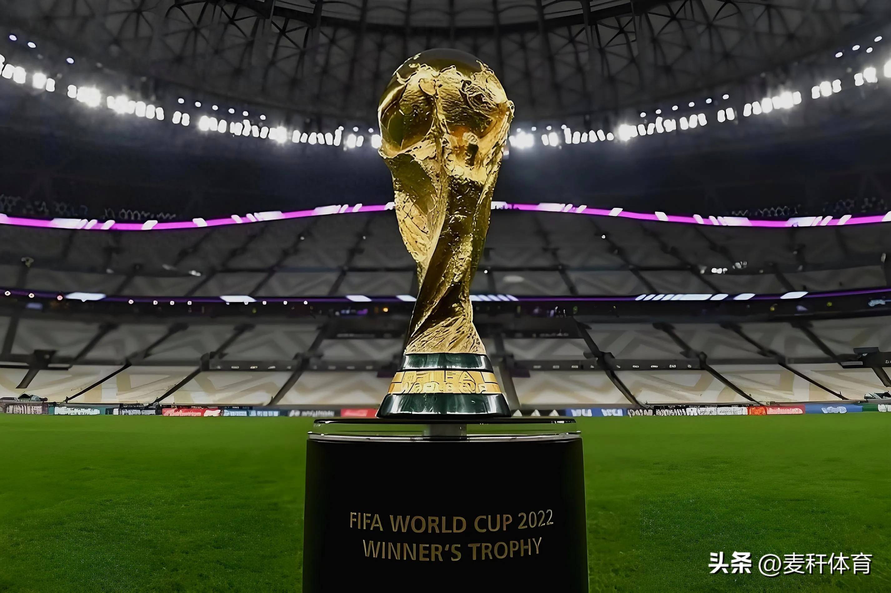 詹姆斯与库 詹姆斯与库