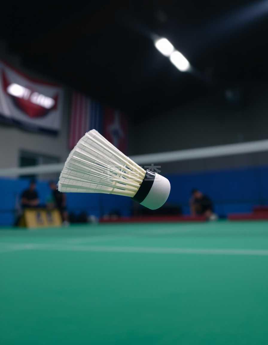 的优势在于 的优势在于